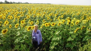 Поэтесса Любовь Терехова. У нас все девушки фотографировались в подсолнухах.